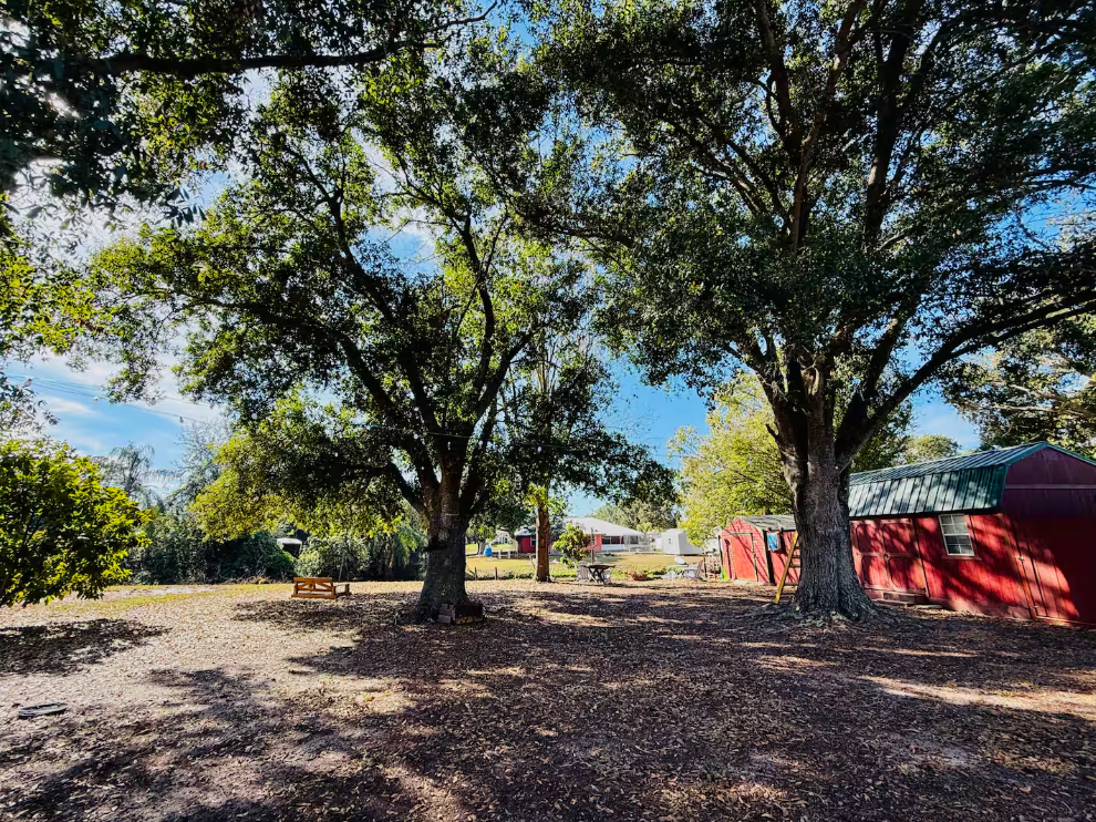 Backyard